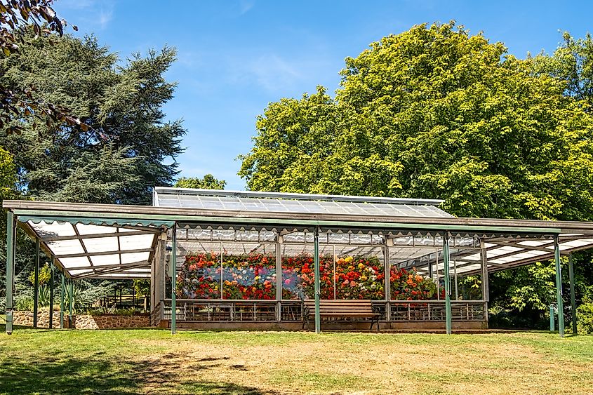 Alf Headland Conservatory which Begonia flowers collection in Wombat Botanic Gardens. It is a popular travel destination in regional Victoria for sightseeing. Editorial credit: doublelee / Shutterstock.com