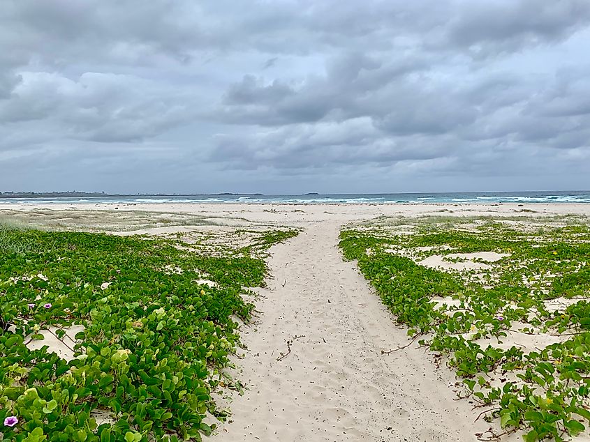 Beach access in Kingscliff, New South Wales, Australia.