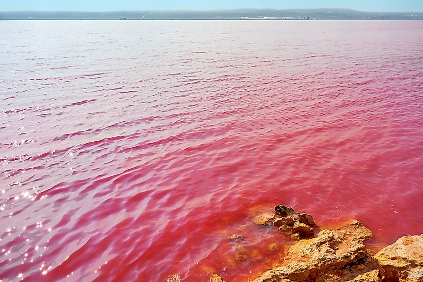 The pink Las Salinas de Torrevieja salt lagoon in Alicante, Spain.