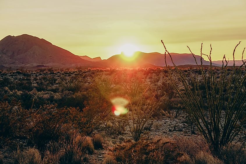 A Sunset in West Texas