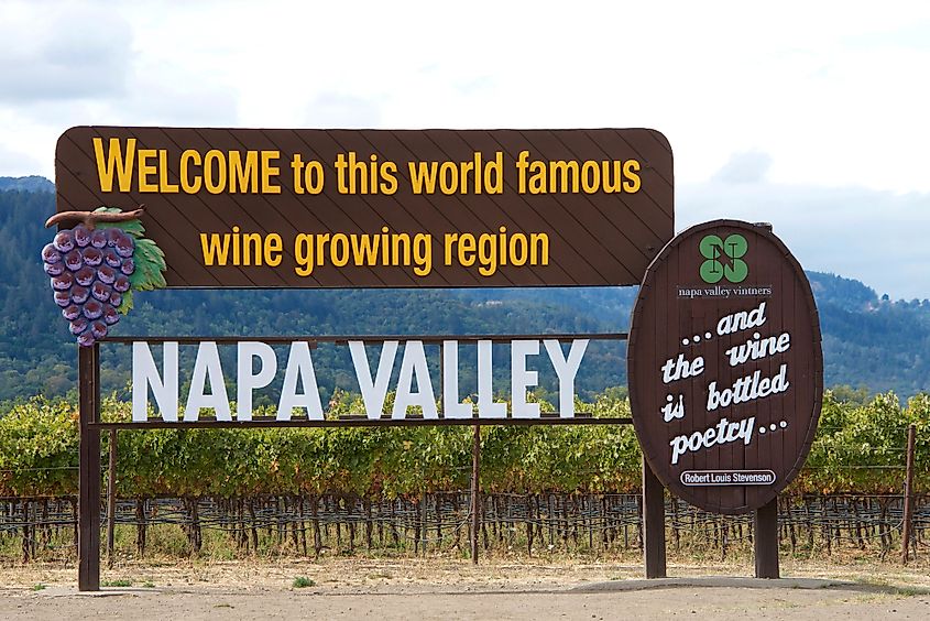 Napa Valley vineyard