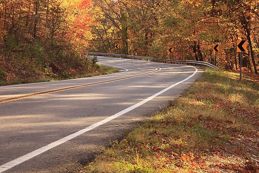 Fall foliage in the Ozark National Forest.