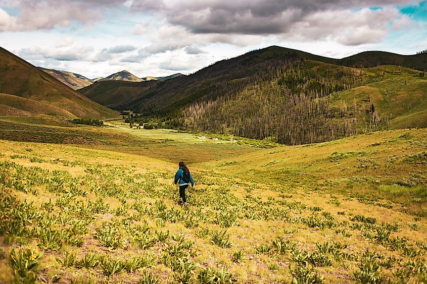 Hailey, Idaho on a hike. Sawtooth Mountains, Baldy, and Stanley, Idaho.