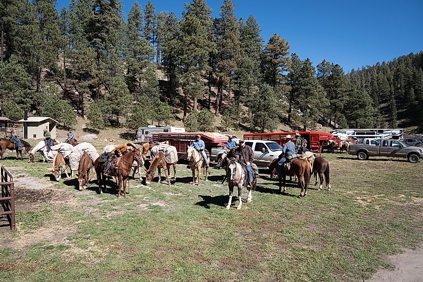 Group of men ranchers rope up and pack horses for a hunting trip at camp, via melissamn / Shutterstock.com