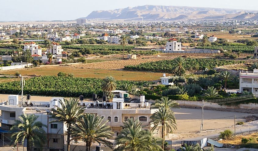 The beautiful city of Jericho in Palestine with palm trees in front and mountains in the background