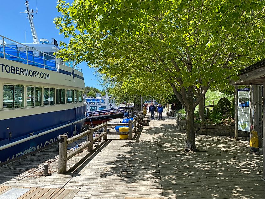Two men walking a tree-shaded boardwalk next to passenger tour boats. 
