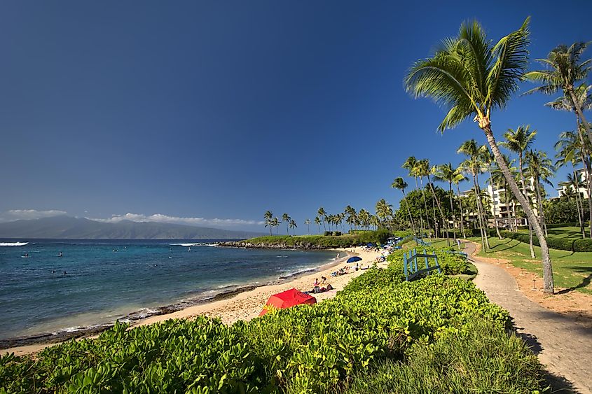 Palm trees and sandy shore at Kapalua beach on the west coast of Maui, Hawaii