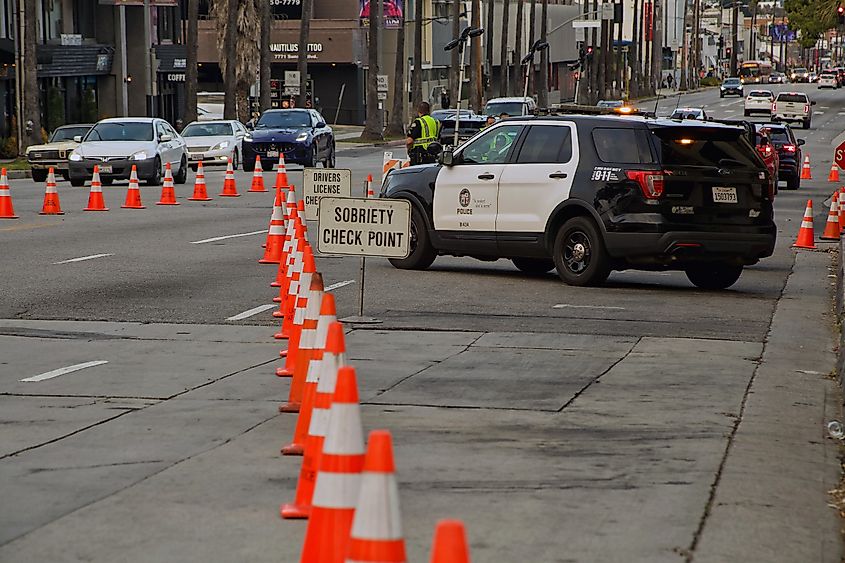 Los Angeles Police Department DUI checkpoint on Sunset Boulevard.