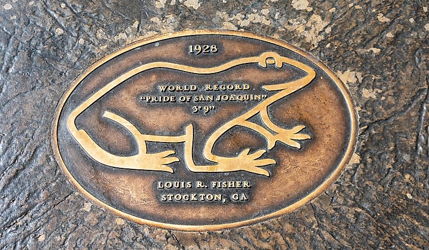 Plaque for the Frog Hop of Fame in Angels Camp, California.