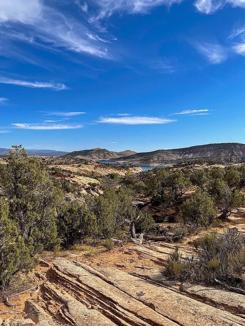 Dinosaur trackway in Red Fleet State Park, Utah.
