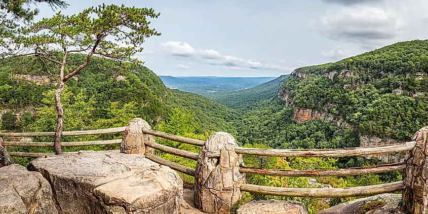 The deep gorge and forested walls of Cloudland Canyon State Park on Lookout Mountain, Georgia.