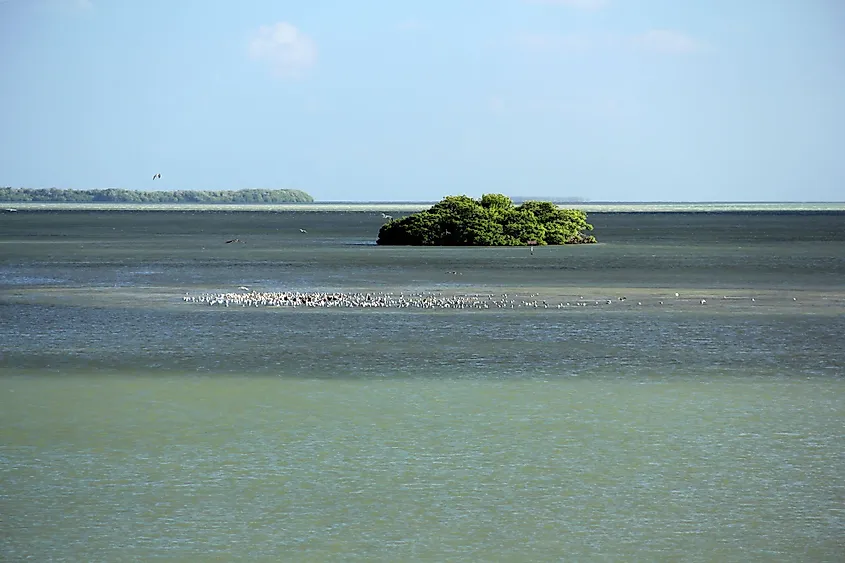 Florida Bay seen from the Flamingo Visitor Center in Everglades National Park