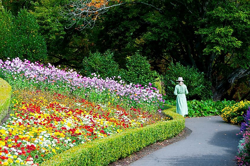 Scenic view of Mount Lofty Botanic Garden in South Australia