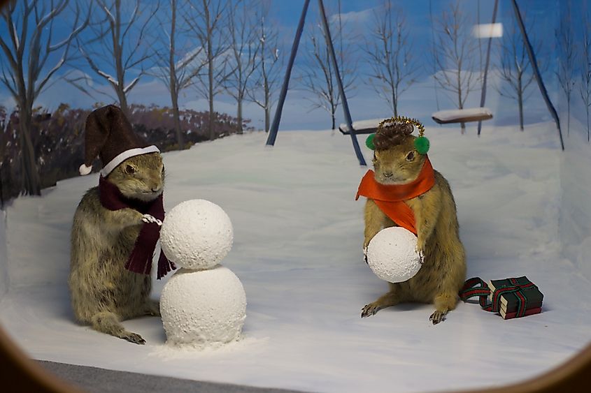 An exhibit at the Gopher Hole Museum in Torrington, Alberta.