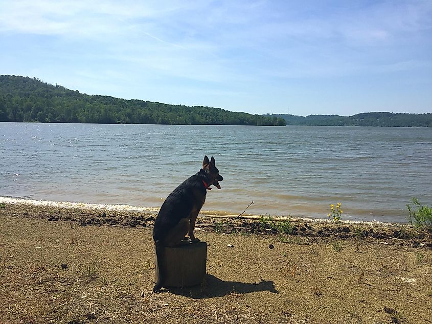 Senecaville Lake