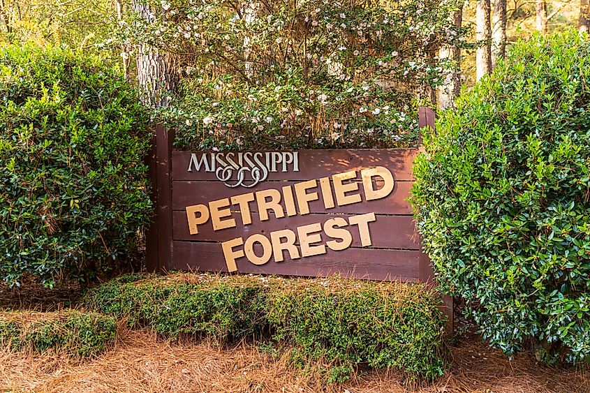 Entrance to the Mississippi Petrified Forest in Flora, Mississippi.