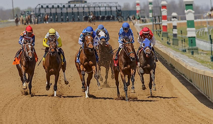 Thoroughbred horse racing at Keeneland race track at spring meet, Lexington, Kentucky