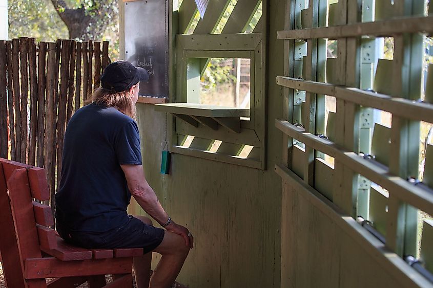 A man looks for birds and animals in a bird blind in Guadalupe River State Park