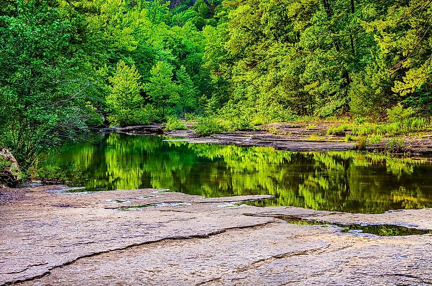 Foliage Reflections on Haw Creek in Russellville, Arkansas.