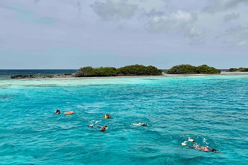 Snorkelling in Aruba Image Credit Bryan Ddearsley