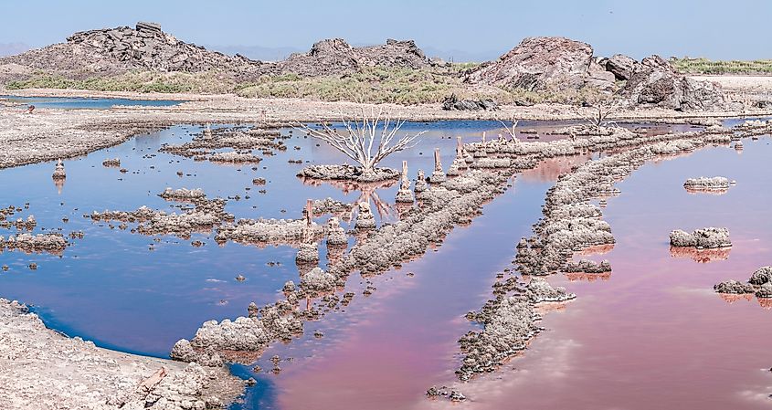 Salton Sea in the Imperial Valley