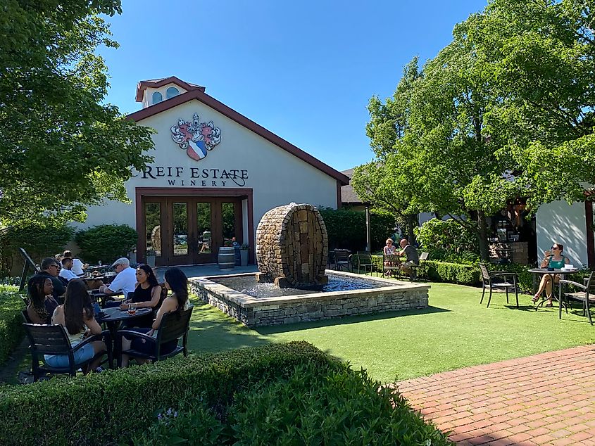 Occupied tables surround a decorative fountain outside of Reif Estate Winery on a sunny day. 