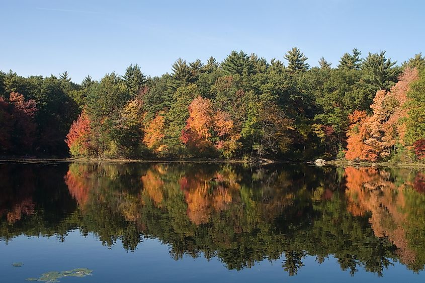 Autumn in Massachusetts, Harold Parker State Park