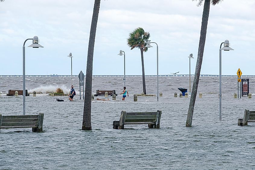 nEW Orleans climate change