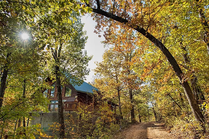 Fall colors in the wilderness near Jasper, Arkansas