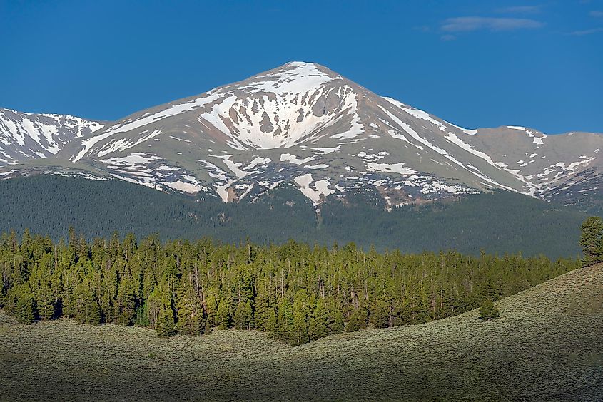 Mount Elbert rising high above the pine forest in Colorado.