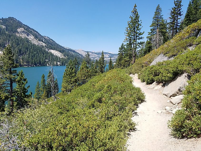 tahoe rim trail