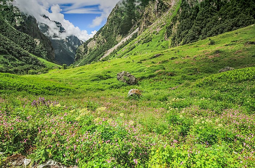 Valley of Flowers National Park in Uttarakhand, India.