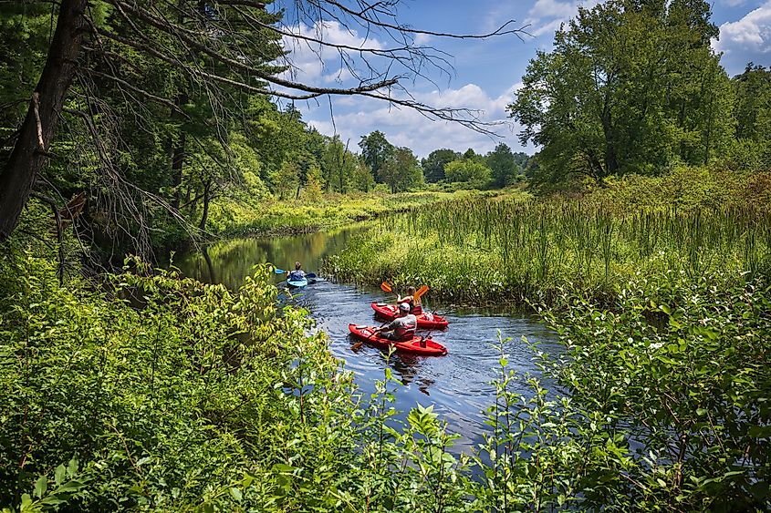 Kayakers on the Bantam River in White Memorial Foundation Nature Preserve in Litchfield, Connecticut.