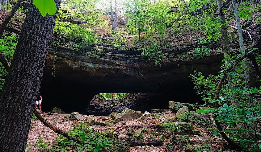 Natural Bridge at Ha Ha Tonka State Park, Missouri.