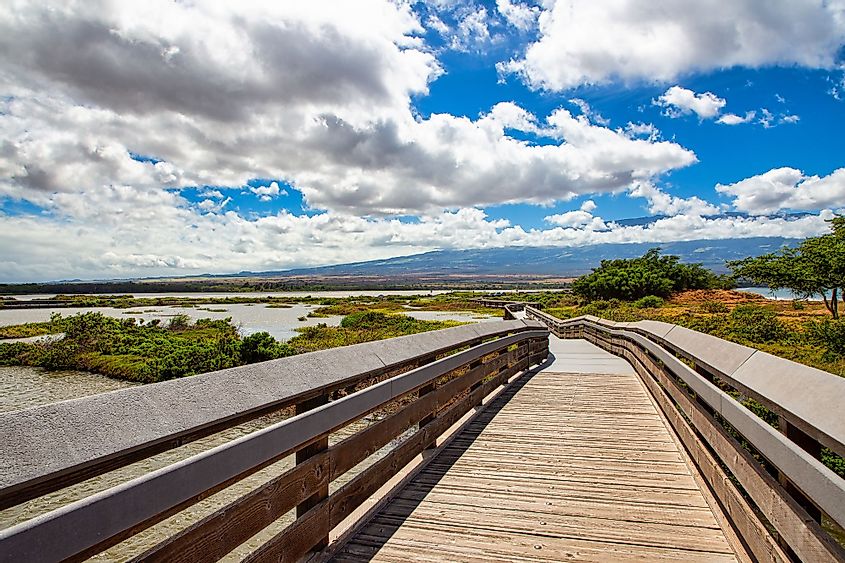 Boardwalk at Kealia Pond National Wildlife Refuge in Maui, Hawaii