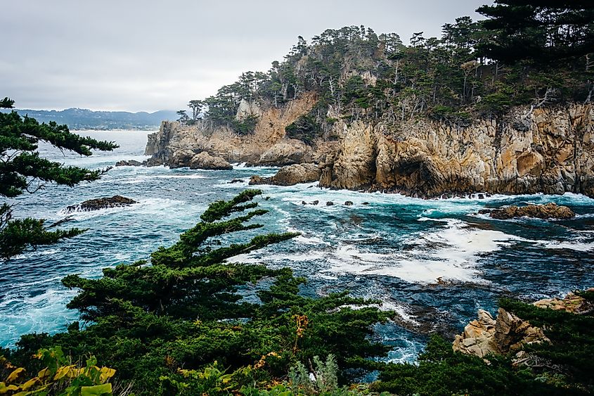 View of rocky coast at Point Lobos State Natural Reserve, in Carmel, California.