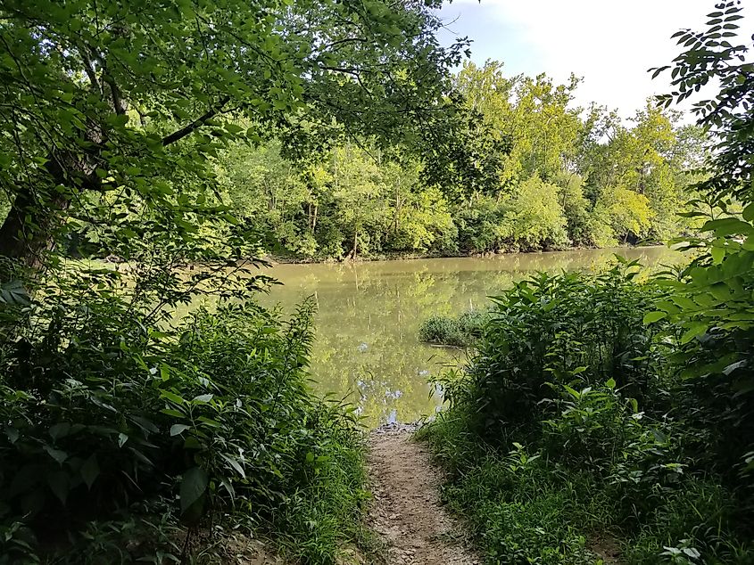 Nature at Little Miami River, Ohio.