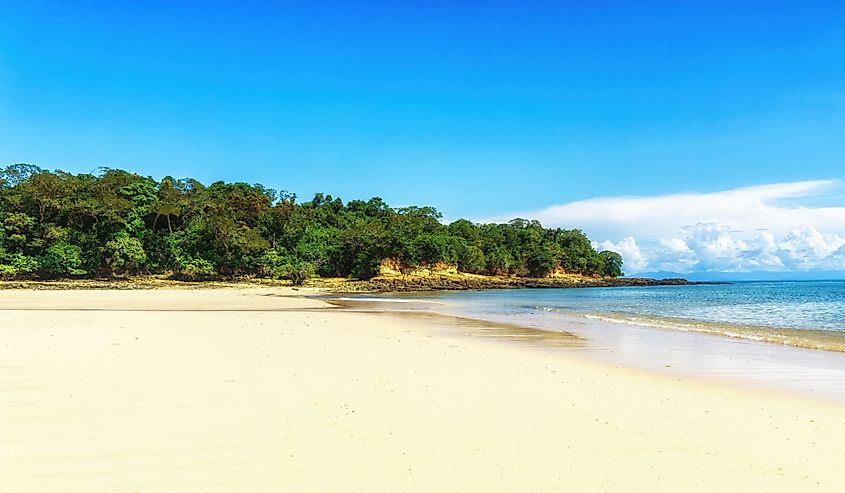 Trees on tropical beach under blue sky, Pearl island archipelago, Panama, Central America