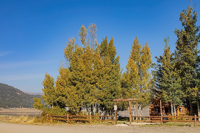 Sunny view of the landscape of Panguitch Lake Resort at Utah. 