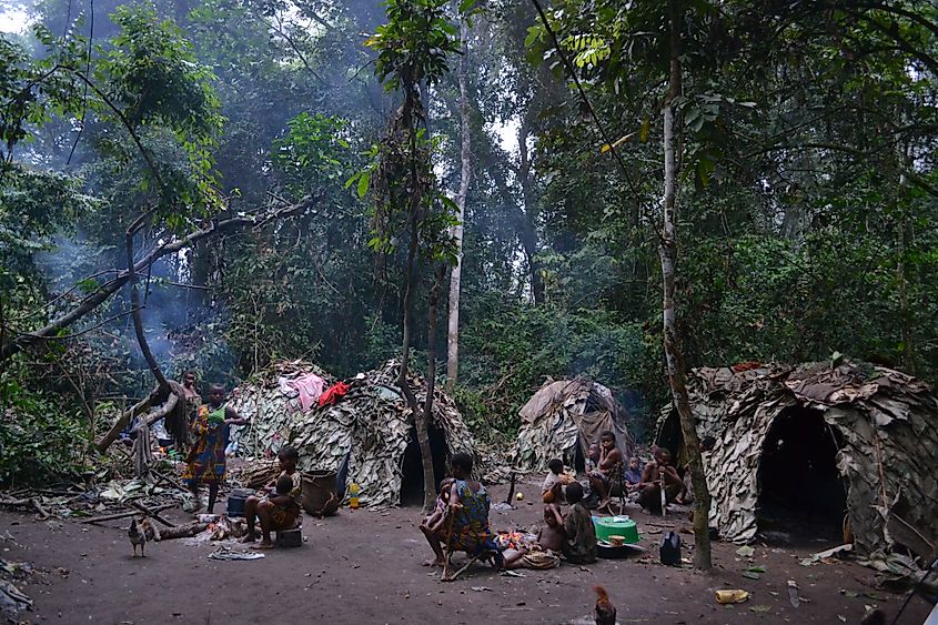 Tribal villages in the Ituri Forest, Democratic Republic of the Congo. 