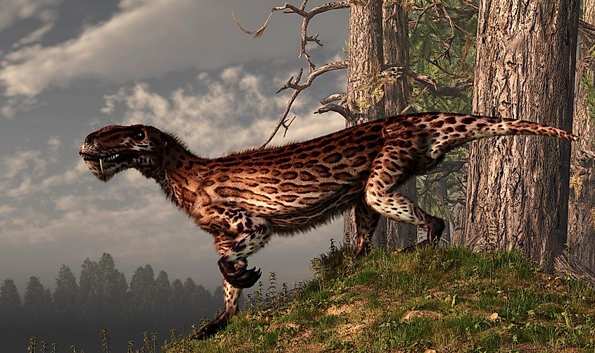 The First Ever Animals To Walk On Land - WorldAtlas The First Ever Animals To Walk On Land - WorldAtlas