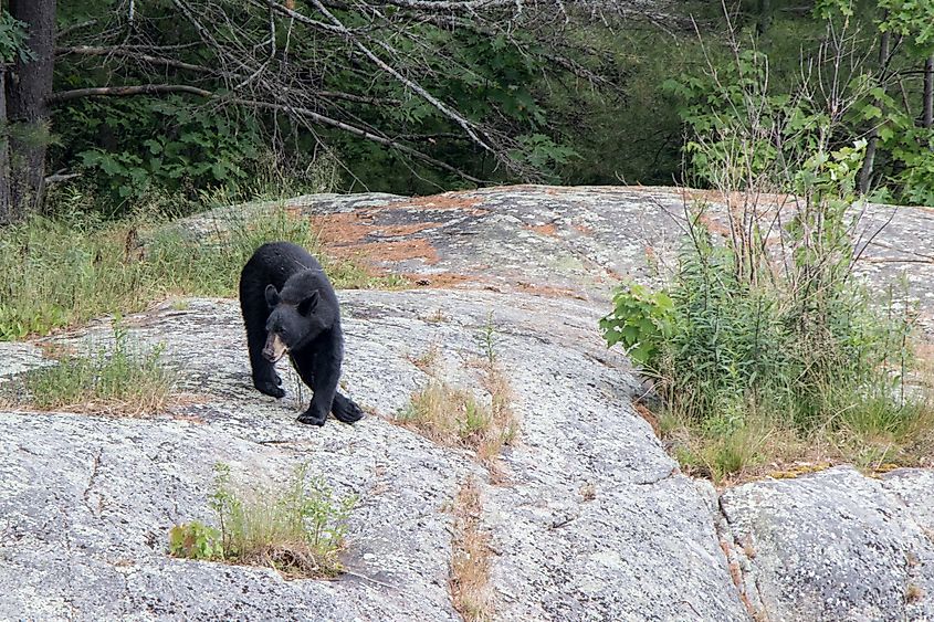 Georgian Bay Islands National Park