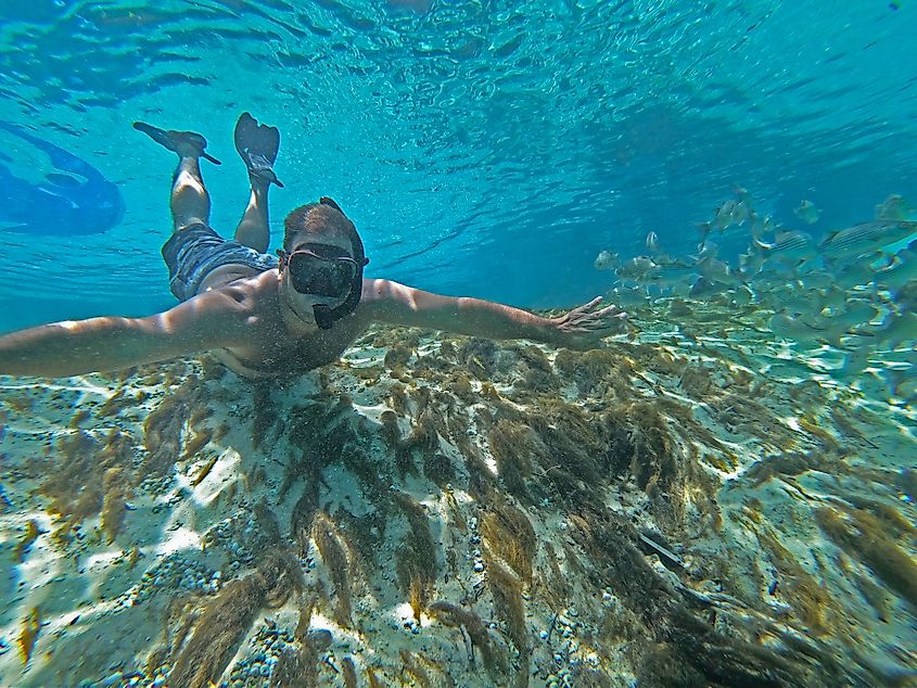 swimming in Ocala national forest