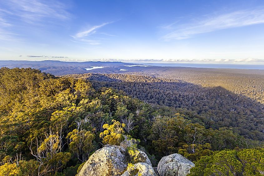 Croajingolong National Park, Australia. Greg Brave via Shutterstock