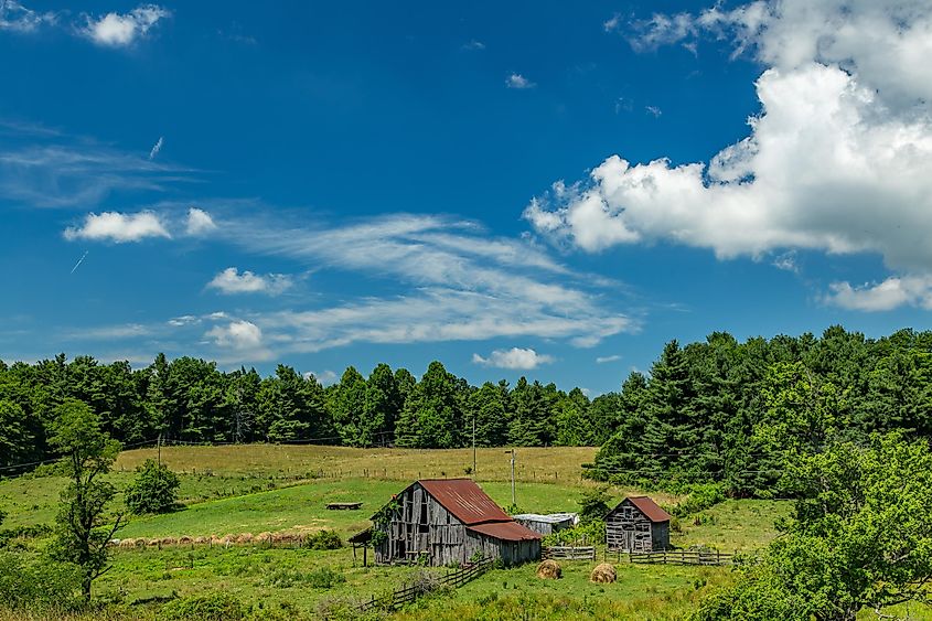 The Barn - An old barn on the Blue Ridge Parkway in Floyd County, Virginia