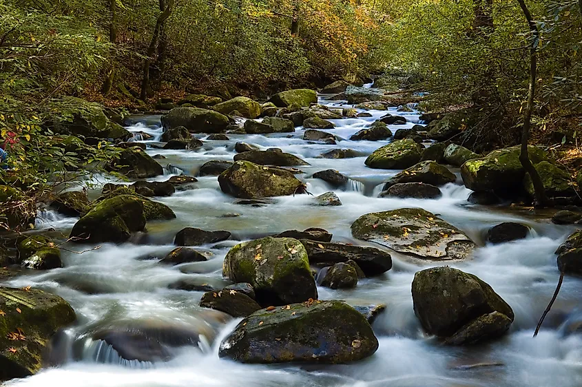 Middle Saluda River in the South Carolina Mountains.