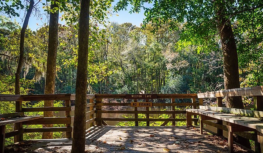 Congaree National Park, International Biosphere Reserve