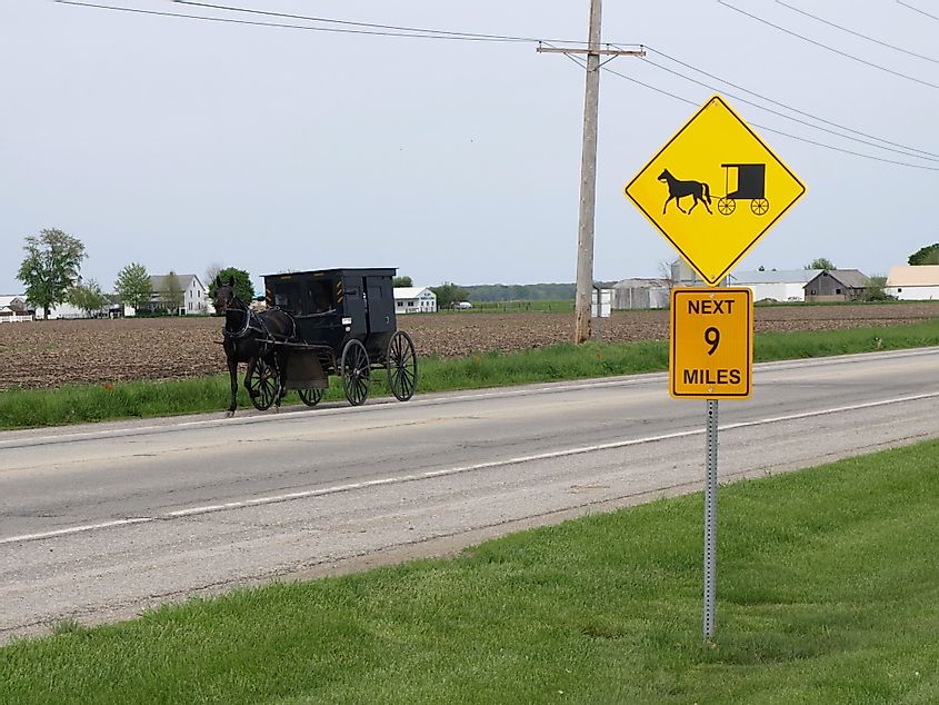 An Amish buggy in Arthur, Illinois