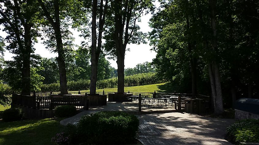 Daniel Vineyards' tree deck, with vineyards in the background in Crab Orchard, West Virginia.