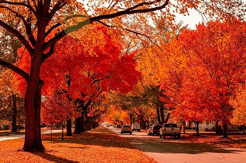 View looking down a historic street in Ottawa, Illinois, during a autumn afternoon.